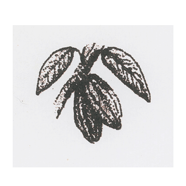 Hacienda Monte Rosa C.A.